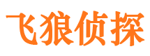 大埔市婚外情调查